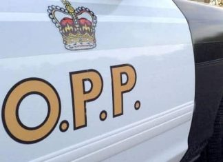 Report: Police ID body found near Killarney Provincial Park