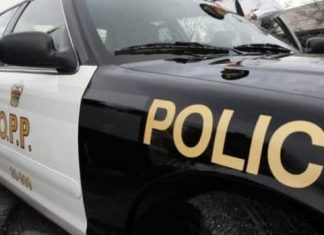 Report: St. Catharines woman in critical condition after slip at Stubbs Falls