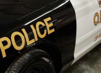 Report: Investigation underway after human remains found off Highway 69