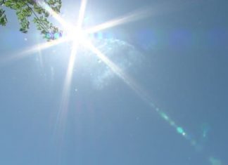 Edmonton: Heat warnings issued for Edmonton and northern Alberta