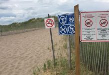 Report: No swimming allowed as N.B. hopes for Blue Flag designation for clean water at Parlee Beach