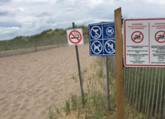 Report: No swimming allowed as N.B. hopes for Blue Flag designation for clean water at Parlee Beach