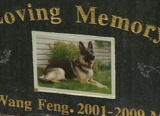 Report: From open-casket funerals to headstones: Pet cemeteries help animal lovers deal with loss
