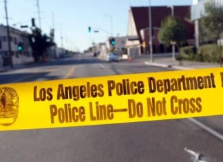 Report: Toronto real estate tycoon’s son who wrote novel about evil convicted of murder