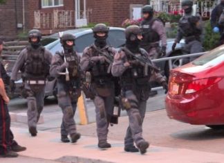 Report: Toronto police execute more than 50 search warrants in overnight raids