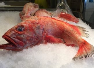 Report: 1/4 of seafood sold in Metro Vancouver is mislabelled, study says