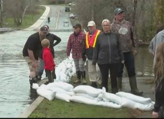 Report: EMO opens pop-up offices to help with flood damage paperwork