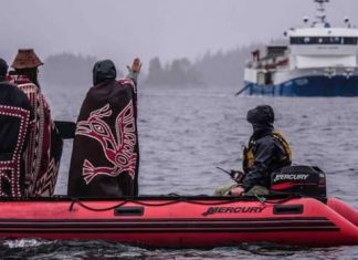 Report: B.C. fish farms to require First Nations approval starting in 2022