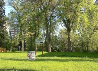 Report: 5 years later, lots sit empty along Elbow River floodway, waiting for Springbank dam
