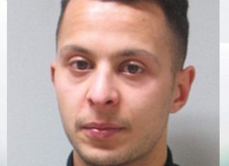 Paris attack driver suspect freed and placed under watch (Details)