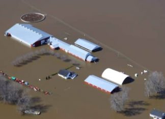 Report: Flood-stricken dairy farmers hope to move herd to drier ground