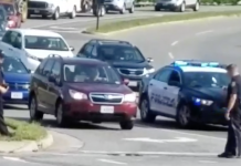 Police officers halt traffic to help snake cross busy Virginia street (Details)