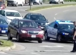 Police officers halt traffic to help snake cross busy Virginia street (Details)