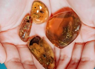Technology: Scientists find rare 99-million-year-old amber fossil of prehistoric frog