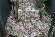 Rat shreds £14,000 of cash after getting into ATM in India (Details)