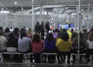 Will Trump push on despite the backlash to family separations? (Details)