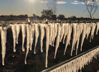 Winter freeze in Australia as bitter cold snap hits east coast (Details)