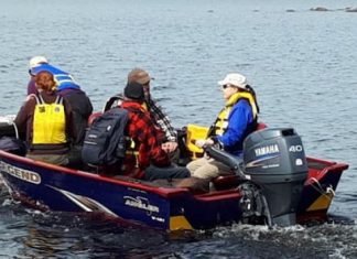 Report: Searching for slime mould and other life near McAdam