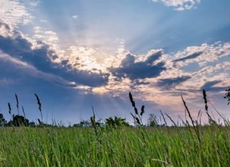 Report: Windsor’s weather, traffic and gas prices for Thursday