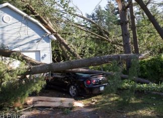 Report: Tornado uprooted trees and wrecked barns in Waterford and Jarvis