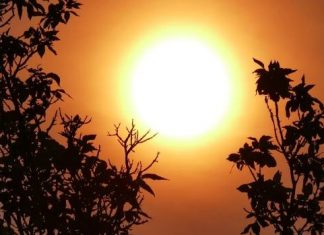 Report: Heat warnings spread through northern Manitoba
