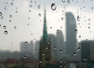 Report: Muggy weather grips Toronto as heat warning, severe thunderstorm watch continues for city