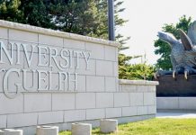 Report: All female faculty get raises at University of Guelph