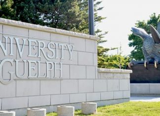 Report: All female faculty get raises at University of Guelph