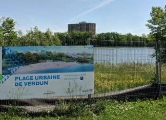 Report: Verdun beach project delayed as officials test water quality, wait for fish to spawn