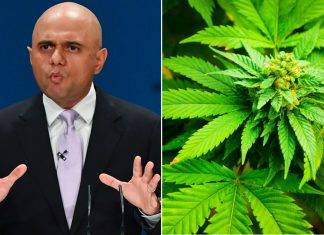 Government announces review into the use of medicinal cannabis (News)