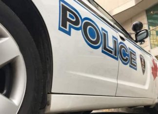 Report: Drugs and firearms seized in Windsor raid