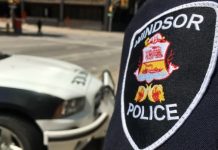 Report: Police probing Windsor homicide | CBC News