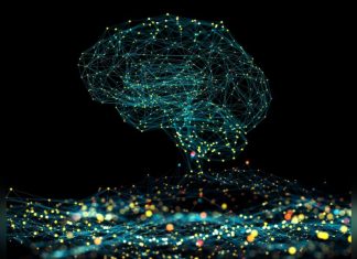 Study: Machine Learning Helps Doctors Diagnose Severity of Brain Tumors Study: Machine Learning Helps Doctors Diagnose Severity of Brain Tumors