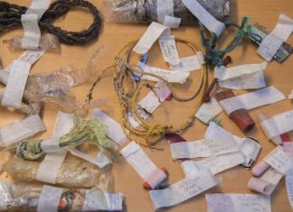 Plastic Pollution reaching Antarctica, According to Study Plastic Pollution reaching Antarctica, According to Study