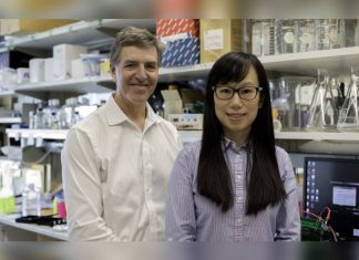 Report: Understanding Alzheimer’s Disease through Single-cell Analysis Report: Understanding Alzheimer's Disease through Single-cell Analysis