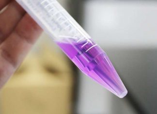 Study: Light driven proton pump in distant relative Study: Light driven proton pump in distant relative