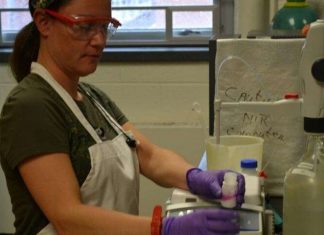 Study: Soil carbon and nitrogen mineralization after the initial flush of CO2 Study: Soil carbon and nitrogen mineralization after the initial flush of CO2