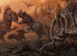 New research finds cannibalism in predatory dinosaurs