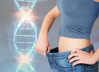Researchers identify gene linked to thinness that may help resist weight gain Researchers identify gene linked to thinness that may help resist weight gain