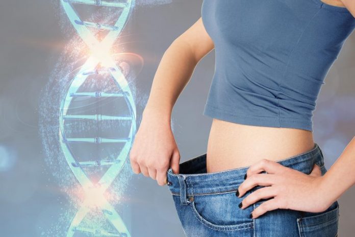 Researchers identify gene linked to thinness that may help resist weight gain