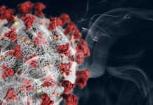 Study: Smoking increases SARS-CoV-2 receptors in the lung Study: Smoking increases SARS-CoV-2 receptors in the lung