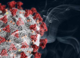 Study: Smoking increases SARS-CoV-2 receptors in the lung Study: Smoking increases SARS-CoV-2 receptors in the lung