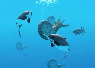 Study: Fishing rod ‘selfie stick’ and scientific sleuthing turn up clues to extinct sea reptile Study: Fishing rod 'selfie stick' and scientific sleuthing turn up clues to extinct sea reptile