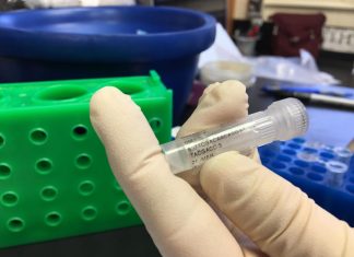 Study: Genetic barcodes can ensure authentic DNA fingerprints Study: Genetic barcodes can ensure authentic DNA fingerprints