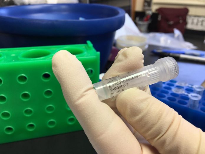 Study Genetic barcodes can ensure authentic DNA fingerprints Study: Genetic barcodes can ensure authentic DNA fingerprints