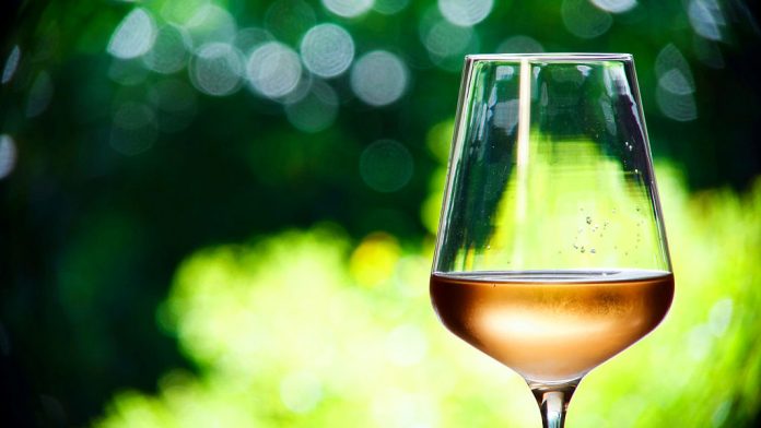 Study: How alcohol in moderation has a positive effect on impaired immune reactions