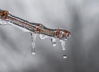 Study: Increase in winter warm spells in UK temperature records Study: Increase in winter warm spells in UK temperature records