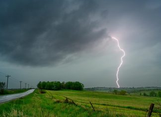 Study: Spring rains are a surprising source of pollen Study: Spring rains are a surprising source of pollen