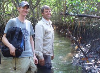 Mangroves at risk if carbon emissions not reduced by 2050 (Study) Mangroves at risk if carbon emissions not reduced by 2050 (Study)