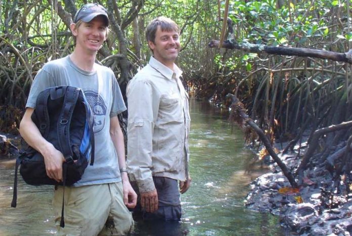 Mangroves at risk if carbon emissions not reduced by 2050 (Study) Mangroves at risk if carbon emissions not reduced by 2050 (Study)